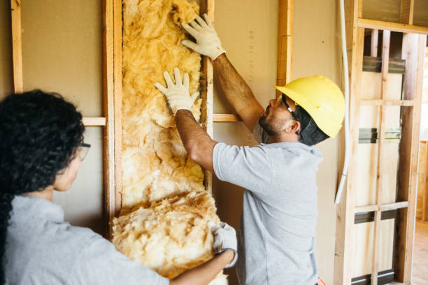 Best Eco-Friendly or Green Insulation Solutions  in Pontoon Beach, IL